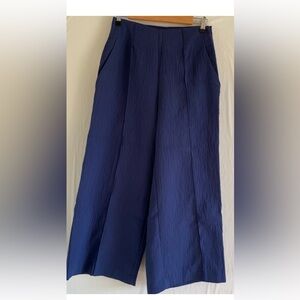 Anthropologie Maeve Blue Cobalt Wide Leg
Pants Size 12